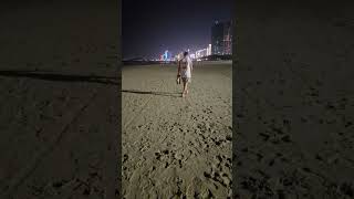 #베트남다낭 #베트남다낭여행 #베트남다낭살기#베트남다낭쇼핑리스트#베트남다낭자유여행 #베트남다낭맛집 #베트남다…