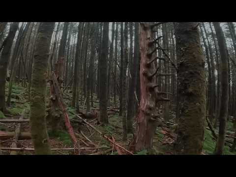 38 Verstörende Aufnahmen Von Campern (OKTOBER 2025 SUPERCUT)