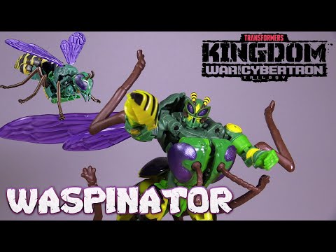 Transformers Kingdom Waspinator Video Review