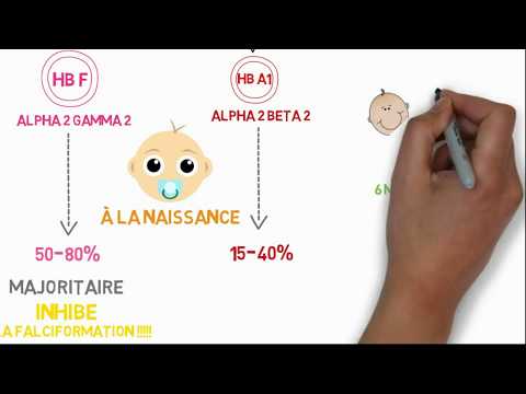 comprendre la drépanocytose en 12 min !!!!