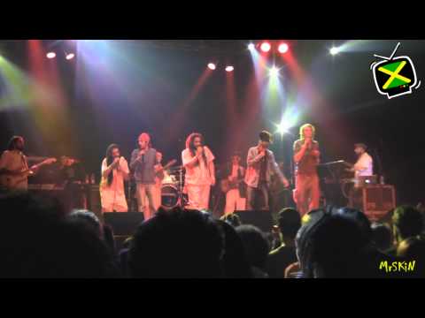 Train To Roots, Mellow Mood - One Love - Live @ Estragon 17-2-11