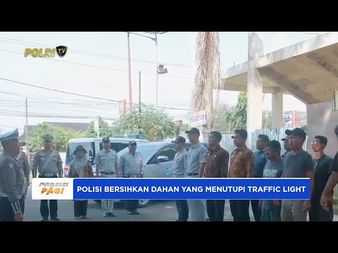 SATLANTAS POLRESTA BENGKULU BERSIHKAN DAHAN POHON YANG MENUTUPI RAMBU LALU LINTAS &amp; TRAFFIC LIGHT