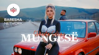 Shkurta Selimi - Mungesë