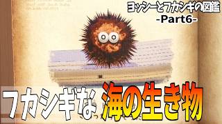 6【ヨッシーとフカシギの図鑑】フカシギな海の生き物