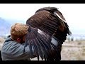 The WORST Lie About Eagles Ever Told