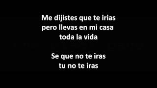 No Puedo Vivir Sin Ti - Los Ronaldos, Letra
