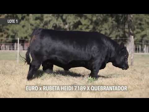 RUBETA 8389 EDINSON - Próximo remate de Cabaña La Rubeta – Sábado 13 de Agosto