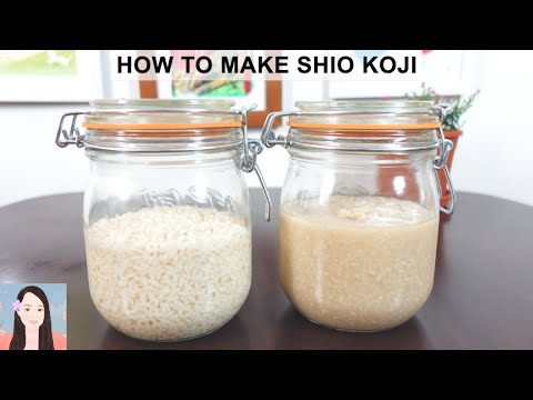 How to Make Shio Koji (Recipe - Japanese Cooking) - Sakura Yubi