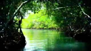 Pablo Milanes ~ Son de Cuba a Puertorico