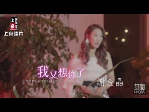 Em lại nhớ anh (wǒ yòu xiǎng nǐ le - 我又想你了) - Xie Jin Jing