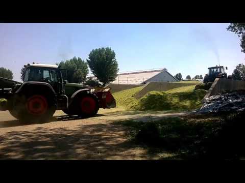 Inverardi  trinciato 2016