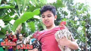 Keren! Soleman Menyelamatkan Ayam yang Mau Diadu  