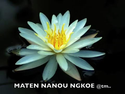 MATEN NANOU NGKOE Remake_Tekabu_LAT STUDIO - Kiribati@tm..