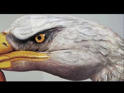 Percepción (Diferencia entre ilusión y alucinación)