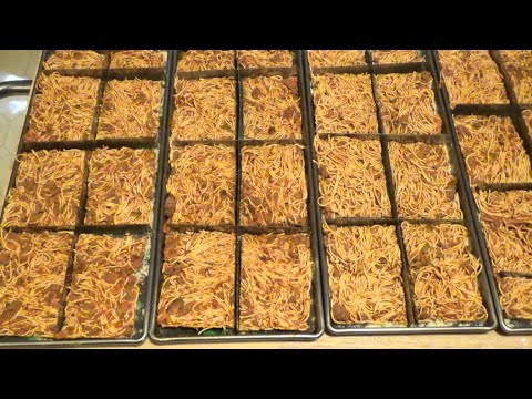 Meal In A Mylar Bag Freeze Dried Spaghetti Ep85