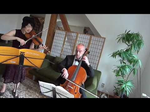 Fritz Kreisler Syncopation Artenius Trio