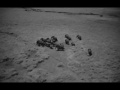 EVO Max 4N Review Video 3