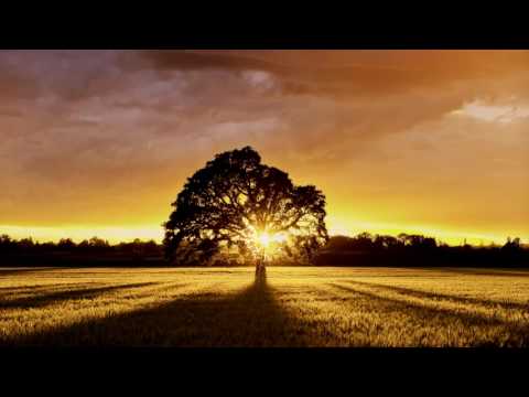 2 HOURS Relaxing/Euphoric Hardstyle mix 2016! 5000 subscribers special! TRACKLIST IN DESCRIPTION!