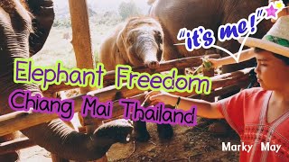 preview picture of video 'Must do in Chiang Mai Thailand Elephant Freedom Project Elephant Nature Park [Marky May]'