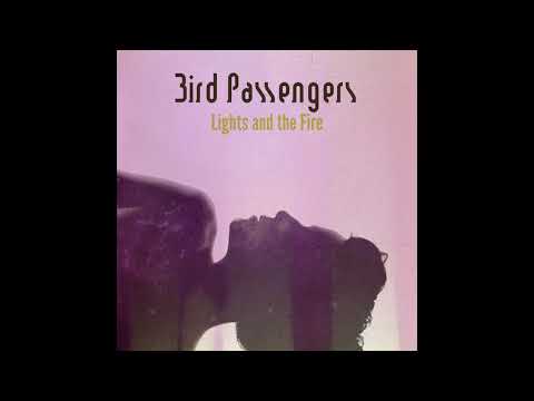 Bird Passengers - Touch and Go