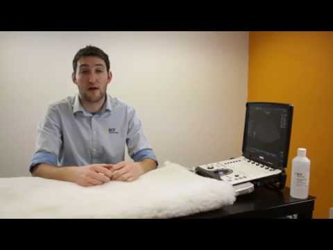 Abdominal Ultrasound FAST Scanning Techniques for Dogs Video 9 - Thanks for watching