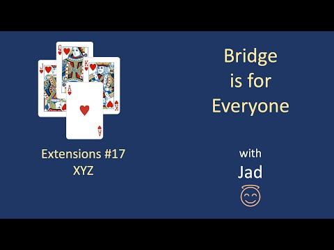 XYZ: Bridge is for Everyone - Extensions #17.