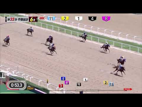 Dolkong - Trial - August 30, 2019