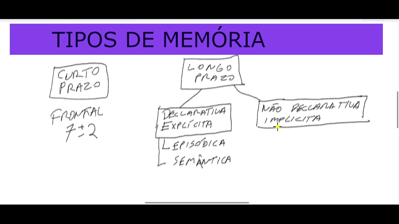 MEMÓRIA (1-TIPOS)