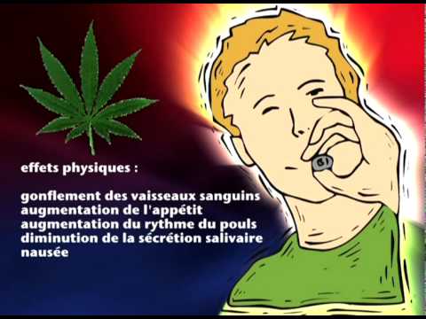 comment augmenter effet cannabis