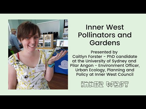 Podcast chat about Inner West Pollinators