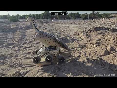 HuBot: From 3D Scanning to Field Trials | Bio-Inspired Robotic Houbara