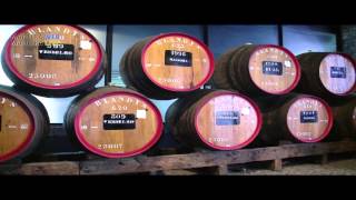 Vídeo Promocional - Funchal 2015
