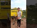 Patna Hai To Batao ️ Comedyfilms Funny New Shorts Subscribe Funny