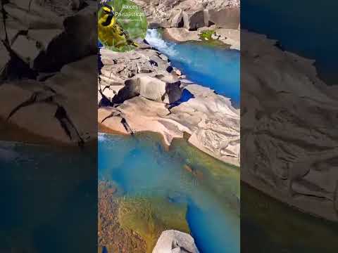 "¡CASCADA ARMUA EN VALLE LUNAREJO: EL PARAÍSO VERDE OCULTO DE RIVERA, URUGUAY! 💦🌳"