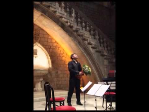 Kresimir Spicer - An Silvia Op.106.N°4 (Franz Schubert)