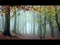 Calma e Tranquilidade a 432 Hz 