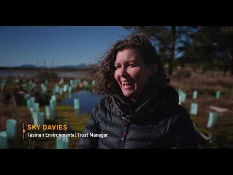 Kotahitanga mō te Taiao