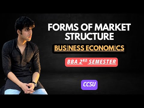 Business Economics for BBA 2nd Semester CCS University