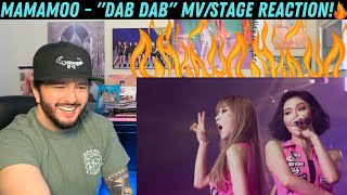 MAMAMOO - "DAB DAB" MV/Stage Reaction!