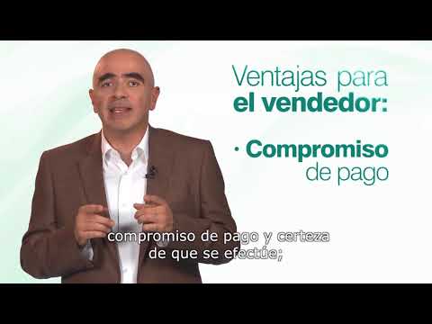 Conoce las Cartas de Crédito