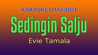 Download lagu SEDINGIN SALJU KARAOKE DANGDUT EVIE TAMALA... mp3