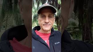 Where is the money? #exjw #exjwsthink #exjehovahswitness #exjehovahwitness