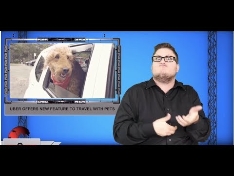 Uber offers new feature to travel with pets (ASL - 10.10.19)