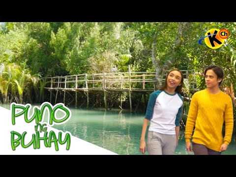 What is an Estuary? Puno ng Buhay