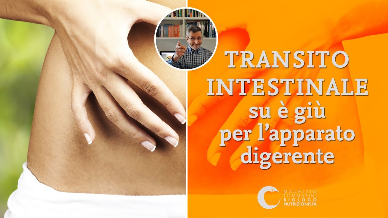 Maurizio Tommasini-4