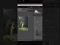 How To Add Light Behind A Subject In Lightroom Classic