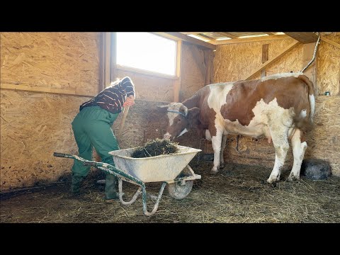 VLOGtober Day 19&20 I'm not ashamed, I'm talking to you