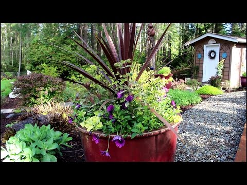 download lagu mp3 mp4 Perennial Combinations For Sun, download lagu Perennial Combinations For Sun gratis, unduh video klip Perennial Combinations For Sun