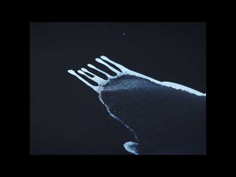 Patrik Hábl — Litoměřice, kostel