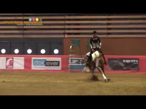 ANN FONCK POELS - SHINERS VOODOO - EQUITA LYON 2016